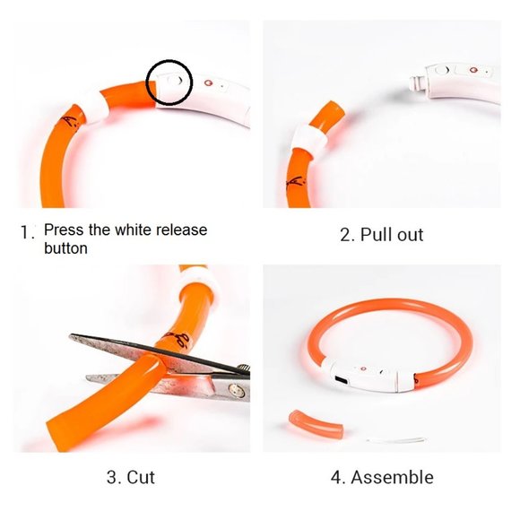 LED Safety Collar USB Charge No Battery Needed Ever - Picture 10 of 10